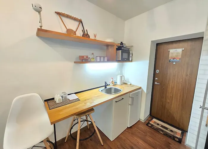 S12 Music Apartment Klaipeda